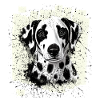 Dalmatian dog