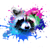waschbär,bär,graffiti,malerei,bunt