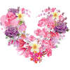 Fleur,Coeur,Cœur de Fleur,Fleurs,Rouge
