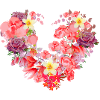 Flower,Heart,Flower Heart,Flowers,Red