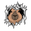 Capybara Kids Gift Cute Capybara
