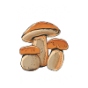 Meilleur Ramasseur De Cèpes Champignons