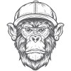 Funky Monkey