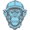 Funky Monkey