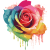 Rose aquarelle arc-en-ciel