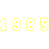1985 Year Number