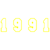 1991 Year Number