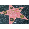 Walk of Fame Star