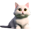 white cat