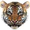 tiger polygon