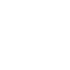 Bear Grizzly Animal