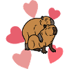 Capybara in love