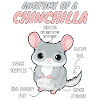 Anatomie d’un chinchilla