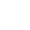 Cricket hits a home run