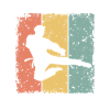 Taekwondo retro