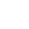 Pi number Evolution