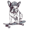 LuckyNumber7 - BaggyDogs (French Bulldog)