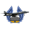 B-1B Lancer