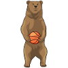 Bear Basketball Player Basketball