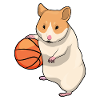 Hamster Basketteur Basketteur