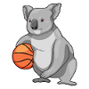 Koala Basketball Player Basketball