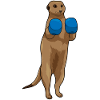 Erdmännchen Boxer Boxhandschuhe