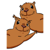 Capybara Wasserschwein