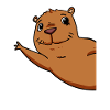 Capybara Wasserschwein
