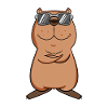Capybara cool