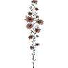 vrille florale