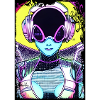 Alien Summer Rave