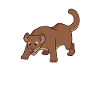 Kawaii Fossa