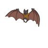 Kawaii Flying Fox
