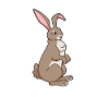Kawaii Rabbit