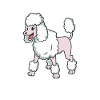 Caniche Kawaii