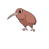 Kawaii Kiwi