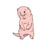 Kawaii naked mole rat