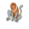 Kawaii proboscis monkey