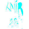 AMIR