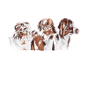 Australian Shepherd
