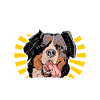 Bernese Mountain Dog
