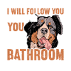 Bernese Mountain Dog