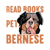 Bernese Mountain Dog