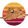 Chow Chow Dog