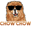 Chow Chow Chien