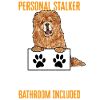 Chow Chow Dog