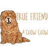 Chow Chow Chien