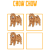 Chow Chow Dog