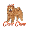 Chow Chow Dog