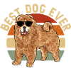 Chow Chow Dog